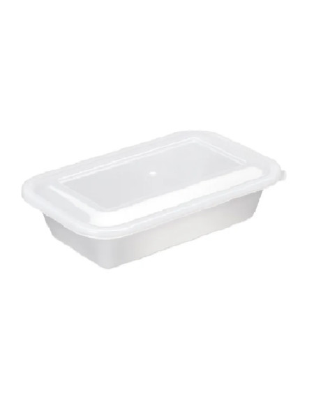 Caixa plastica com tampa 23.5 X 15 X 5.8 1 litro - Loja Apolo