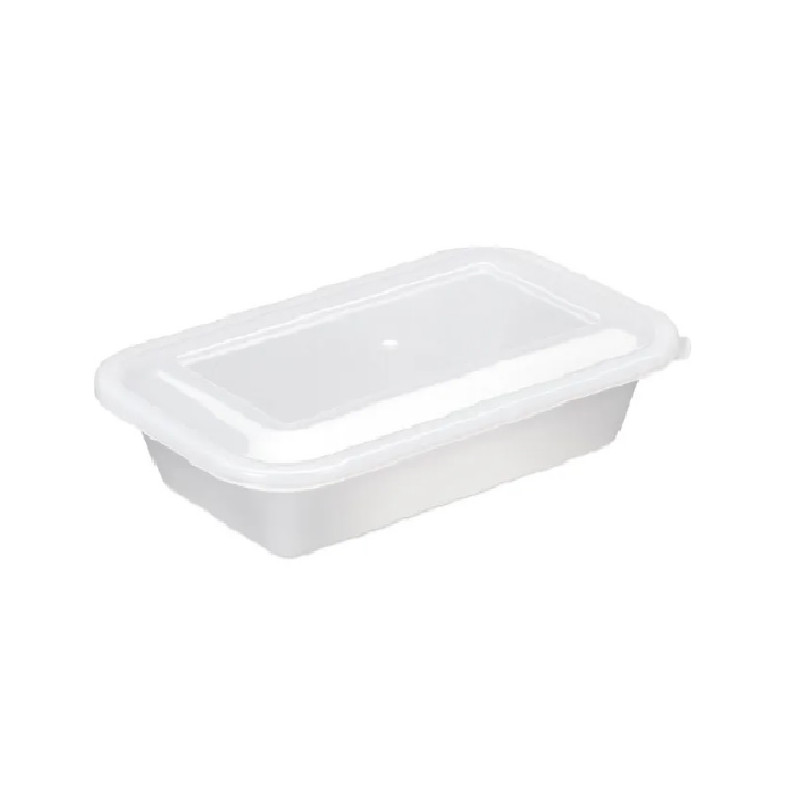 Caixa plastica com tampa 23.5 X 15 X 5.8 1 litro - Loja Apolo