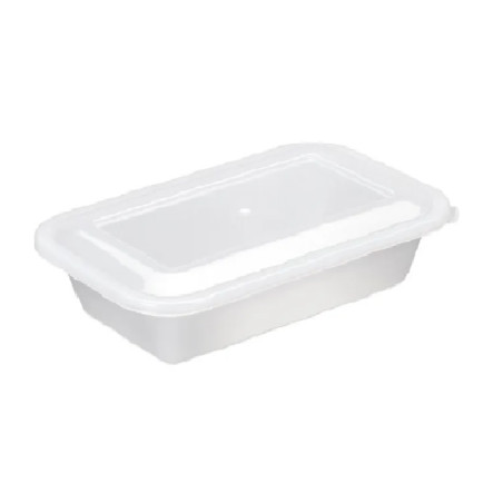 Caixa plastica com tampa 23.5 X 15 X 5.8 1 litro - Loja Apolo