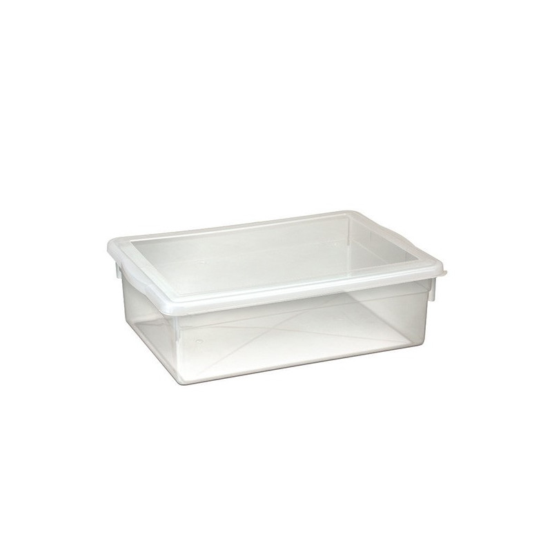 Caixa Organizadora Transparente c/ Tampa 2,5L