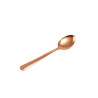 Rechaud com Panela e Concha Prata Apolo 9L