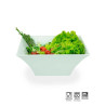 Pote Bowl Quadrado Melamina Profissional 30cm