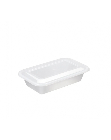 Caixa Plastica C/ Tampa 23.5X15X5.8 1 LT