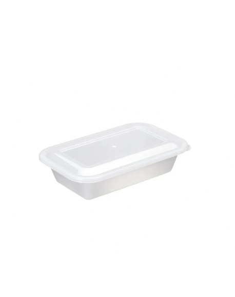Caixa Plastica C/ Tampa 23.5X15X5.8 1 LT