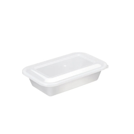 Caixa Plastica C/ Tampa 23.5X15X5.8 1 LT