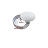 Forminha Quiche N.1 F. Falso 8,2X2,5CM