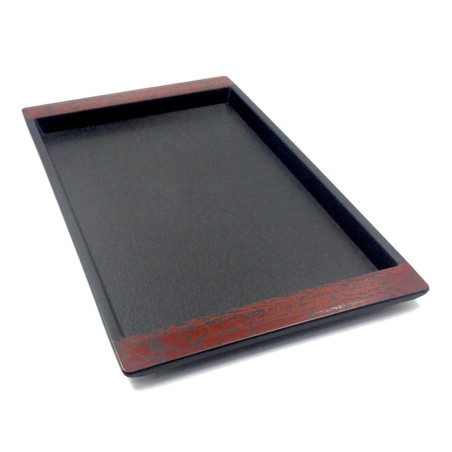 Bandeja de Plastico 38x25 cm